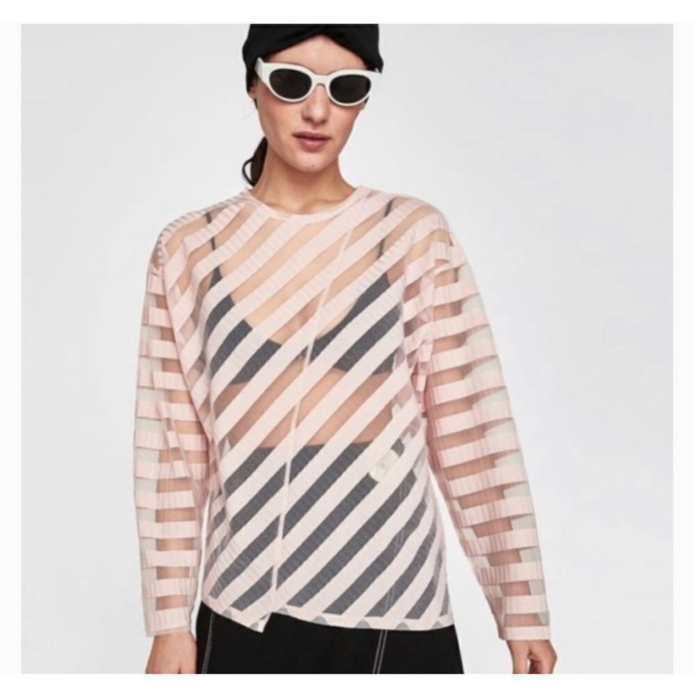 Zara Pink Striped Sheer Blouse